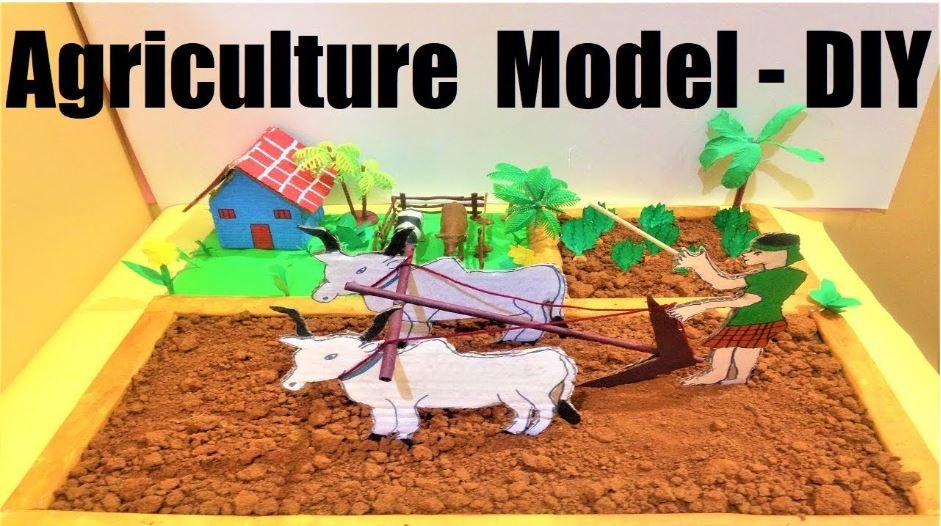 agriculture model - diy