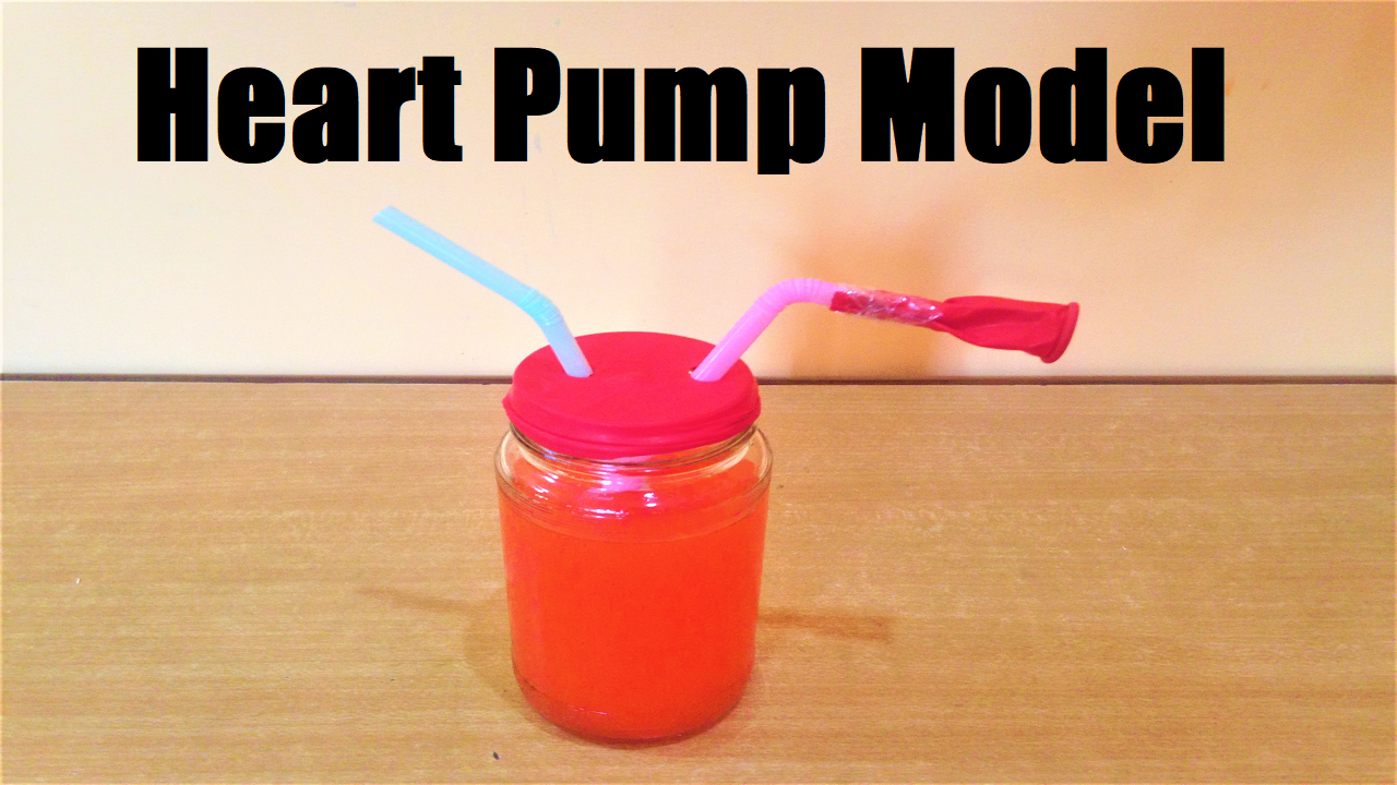 How-to-make-heart-pump-model
