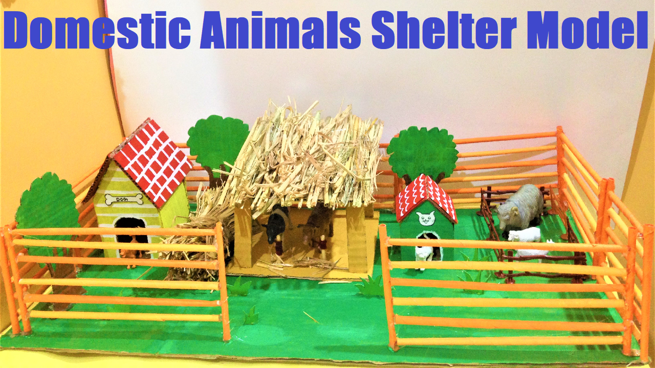 Domestic animals shelter model for school science exhibition - DIY School  Project Working and Non Working Models for Science Exhibitions or Science  Fair