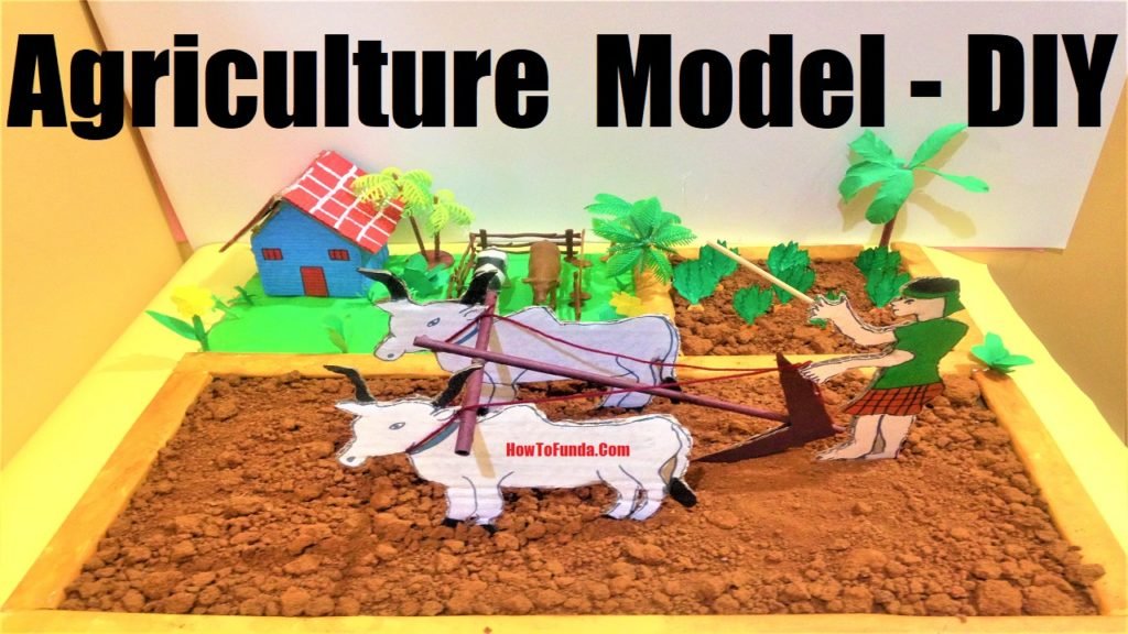 Agriculture model(Organic Farming) for school science exhibition project