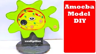 amoeba model for science fair project | DIY at home