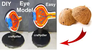 how to make eye model making using cardboard - diy