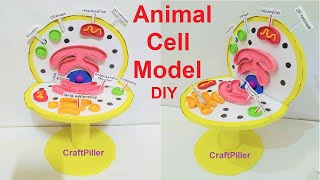 animal cell model(3D) for science fair project - DIY School Project Working  and Non Working Models for Science Exhibitions or Science Fair