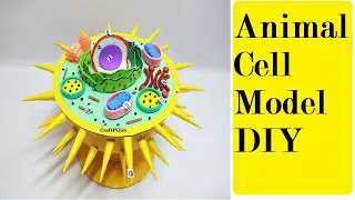 animal cell model making at home