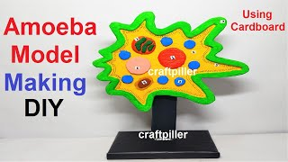 amoeba model making using cardboard - science project - biology model