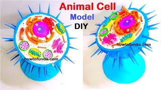 animal cell model making using cardboard