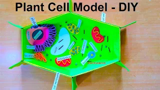 plant cell model for school science fair exhibition project 