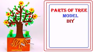 parts of tree model making for science project 