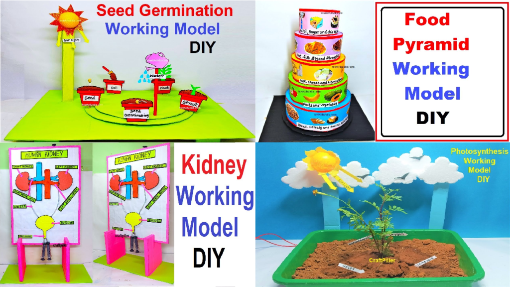 4 best science project working models - innovative - award winning - science exhibition 