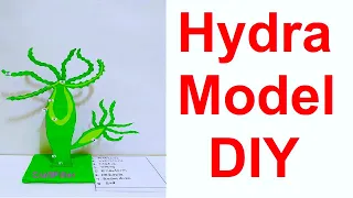 hydra model making for science fair project |