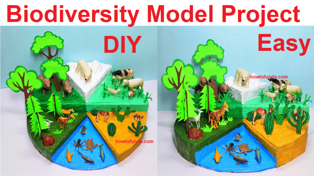 Biodiversity Model Project For Science Exhibition Science Projects 