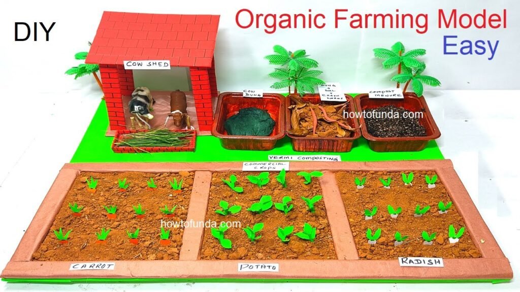 organic-farming