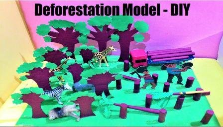 deforestation model - school project exhibition
