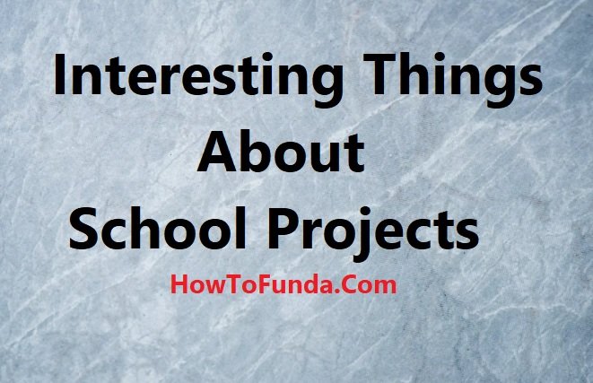 Interesting Things About School Projects