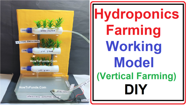 how to make science exhibition food security working model - Science ...