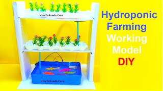 Hydroponic Farming Working Model (Agriculture) for Inspire Award Science Exhibition Project