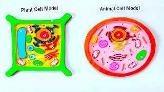 animal and plant cell model making science project using cardboard