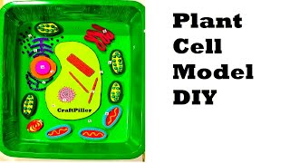 plant cell model using waste materials