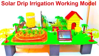 solar drip irrigation working model making - diy