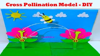 pollination model for science project exhibition - biology projects