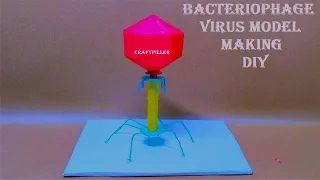 Bacteriophage virus model making | diy | biology model making