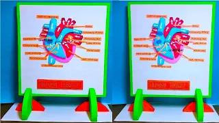 heart model making using cardboard