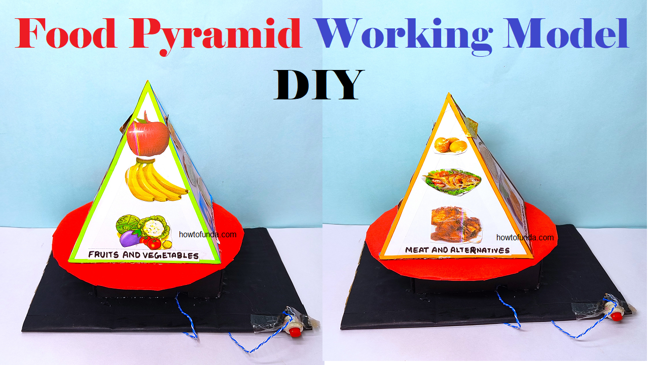 food pyramid working model science project for science exhibition - diy - simple | howtofunda