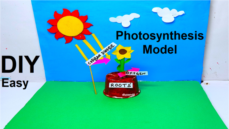 How To Make Photosynthesis Model For Science Project Exhibition   Photosythesis Model Making Simple And Easy Diy Science Project For Exhibition 2 768x432 