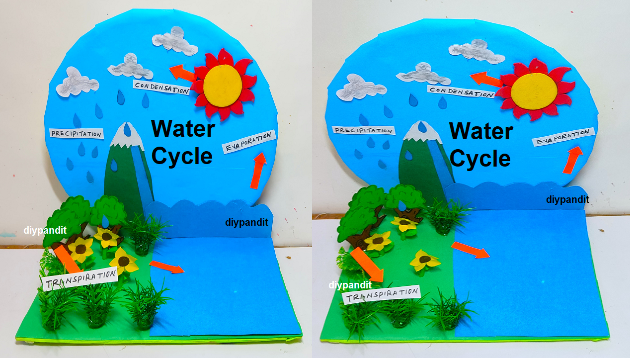 water-cycle-model-making-for-science-project-for-exhbition-simple-and-easy