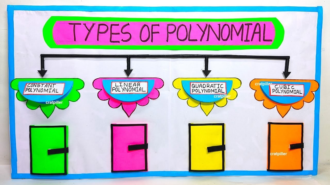 types-of-polynomial-working-model