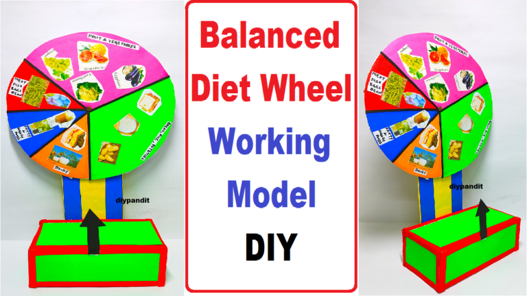 how to make balanced diet wheel working model science project - Science ...