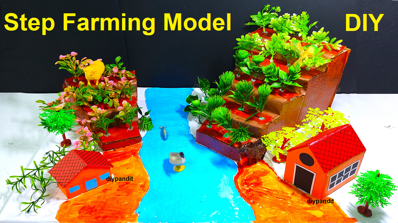 step-farming-model-making-science-project-for-exhibition-diy-in-simple-and-easy-steps