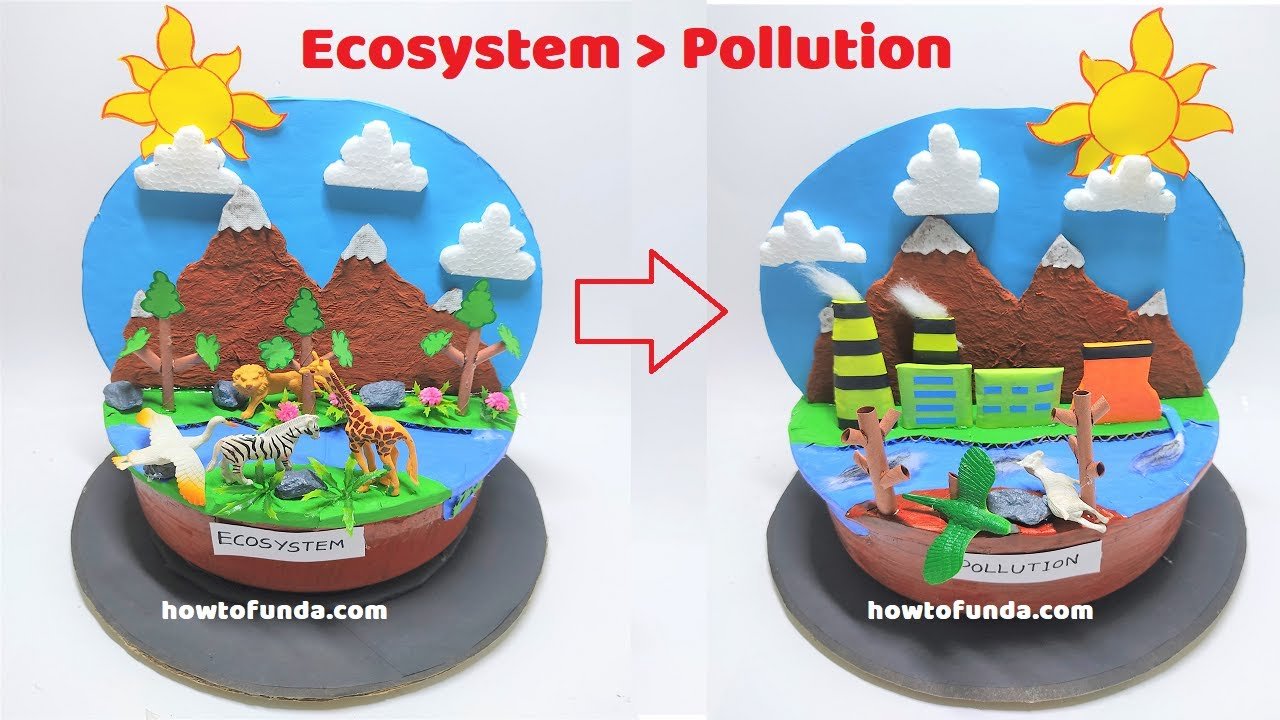 ecosystem-and-pollution-model-making-for-science-project