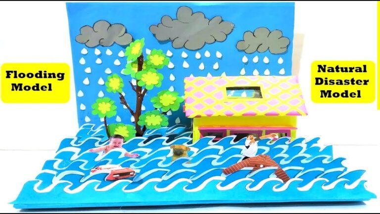 20 disaster management models for science exhibition - Science Projects ...