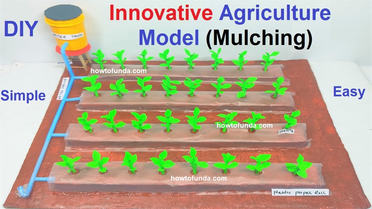 innovative agriculture working model on mulching to conserve water