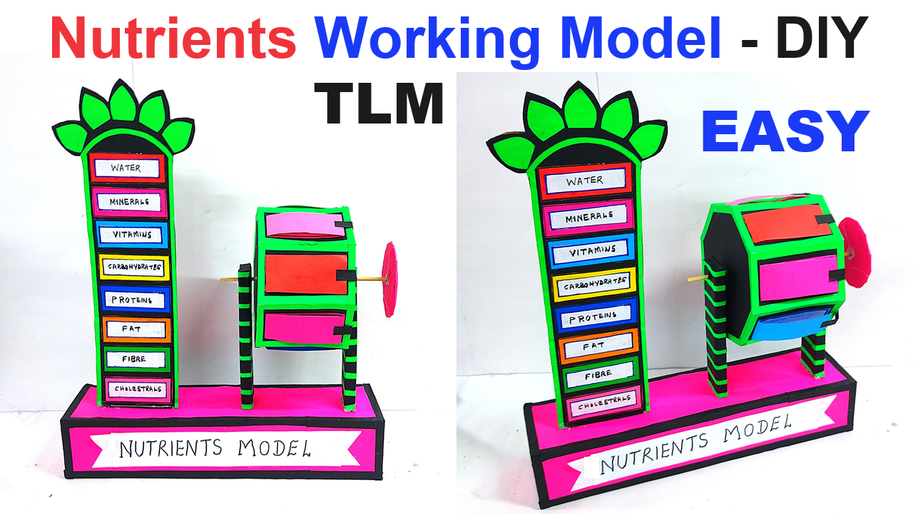 nutrients working model for science exhibition - diypandit - simple and easy steps