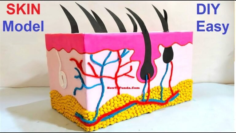 How to make skin model 3d making using cardboard | howtofunda | still ...