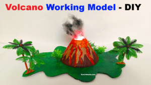science project models - Science Projects | Maths TLM | English TLM