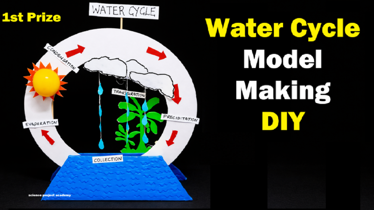 How To Make Water Cycle Model Making for Science Exhibition - Science ...